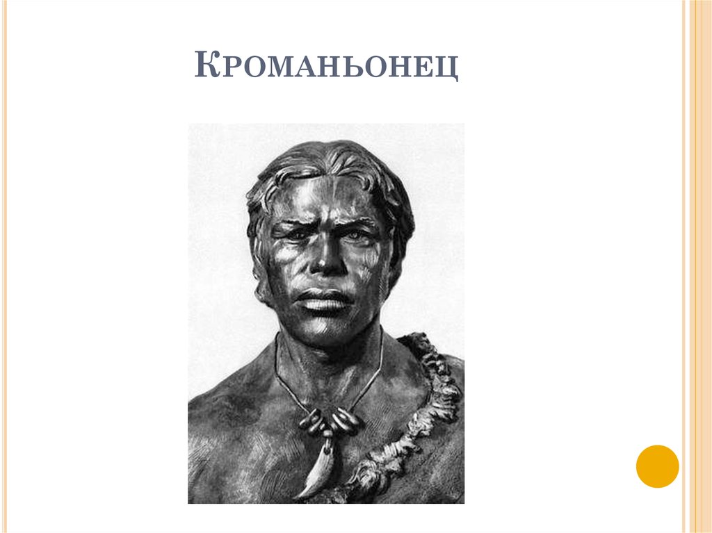 Кроманьонец. Бюст кроманьонца. Кроманьонец чб. Кроманьонец черно белая.