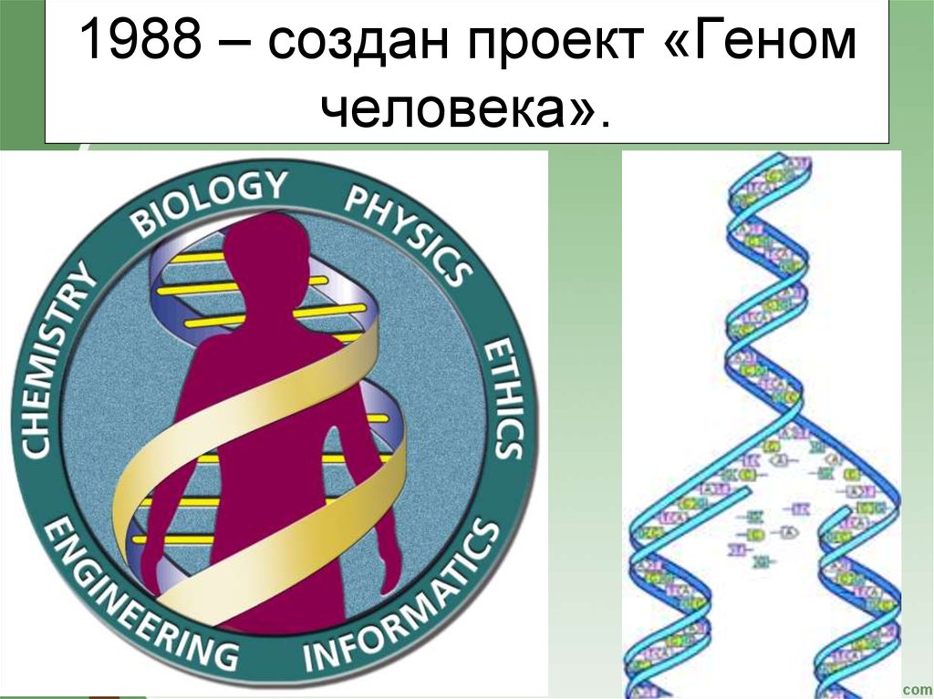 Расшифрованные геномы. Международная программа геном человека. Проект геном человека. Международный проект геном человека. Международный проект геном человека кратко.