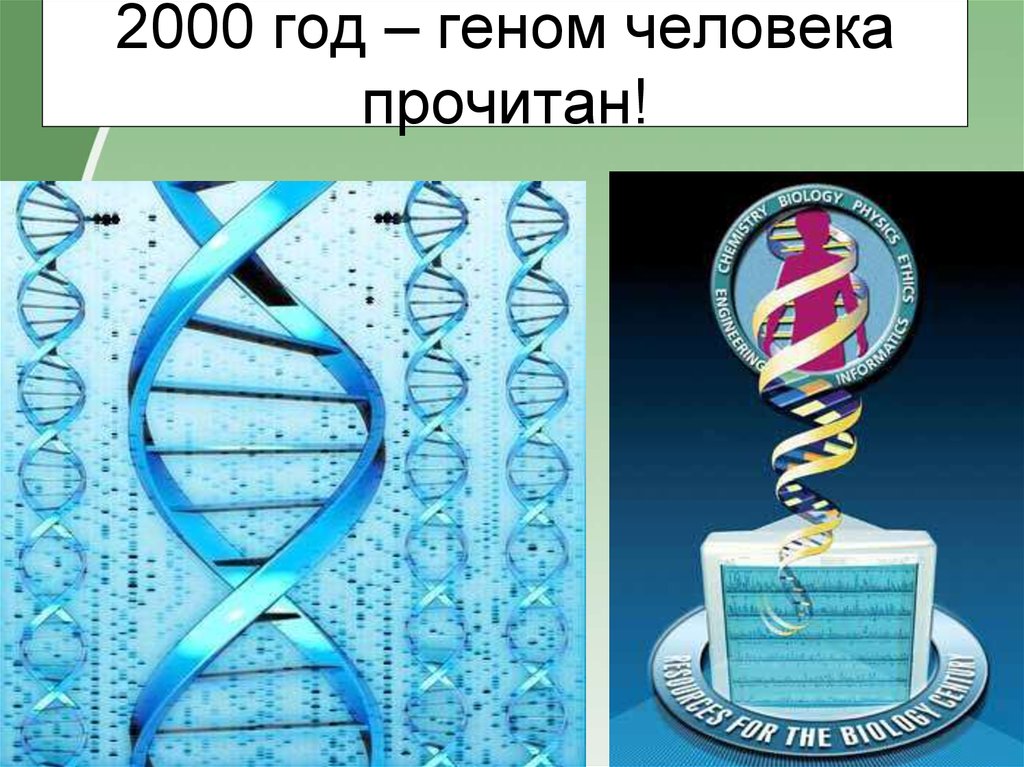 Геном человека определить. Геном человека. Проект геном человека. Международный проект геном человека. Программа геном человека.