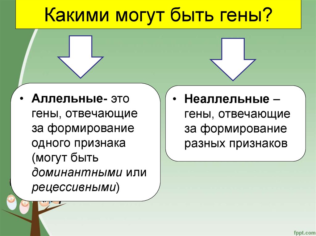 Гены ответственные за развитие