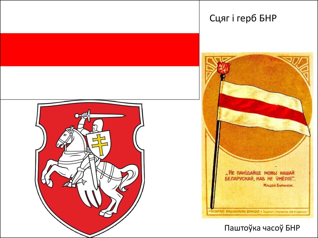 Бчб флаг это. Флаг БНР. Флаг БНР С гербом. Флаг БНР 1918. Большой герб БНР.