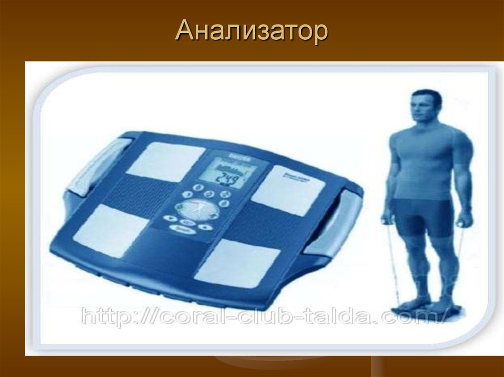 Анализатор