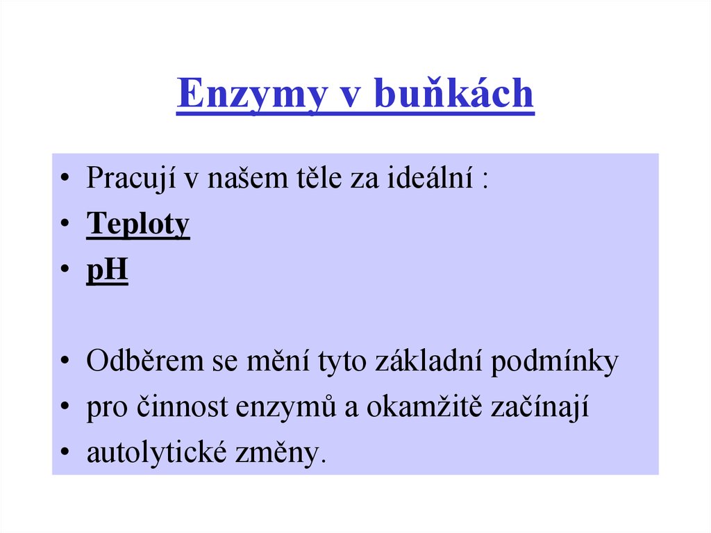 Enzymy v buňkách