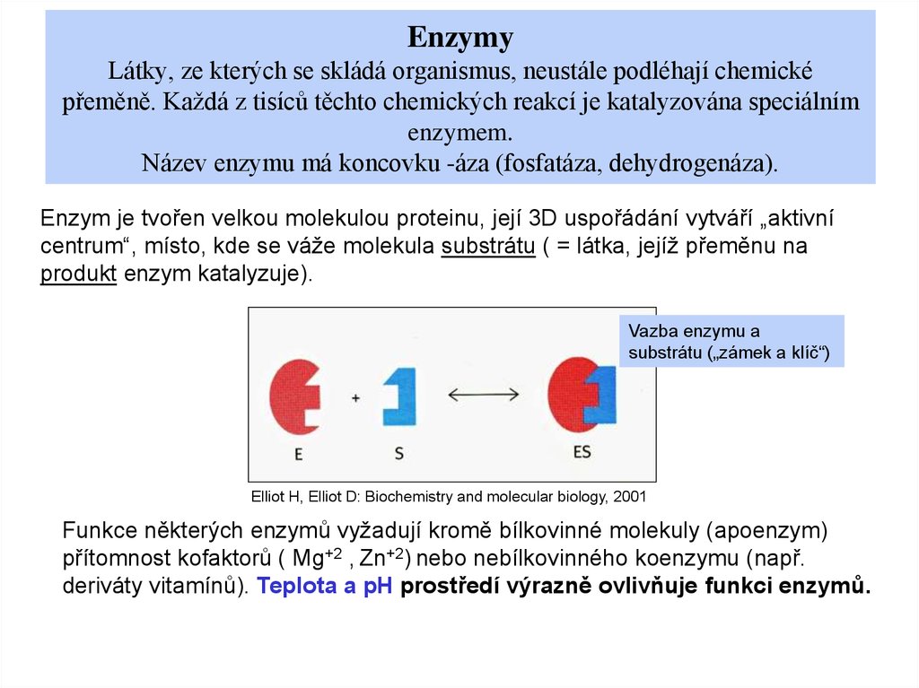 Enzymy Látky, ze kterých se skládá organismus, neustále podléhají chemické přeměně. Každá z tisíců těchto chemických reakcí je