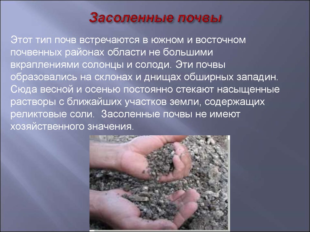 Сильно засоленные почвы россии. Засоленные почвы. Виды засоленных почв. Засоленные почвы презентация. Засоленные почвы характеристика.