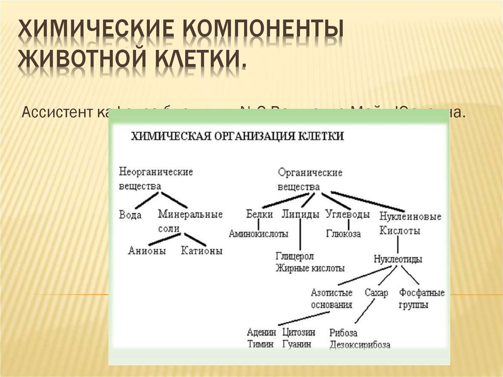 Химическая организация клетки презентация