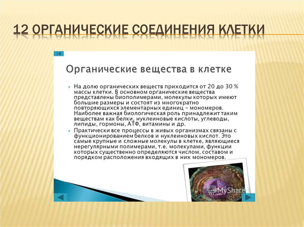 Неограниченные вещества клетки. Органические соединения клетки. Органические вещества клетки. Вывод по органическим веществам клетки. Органические вещества клетки вывод.