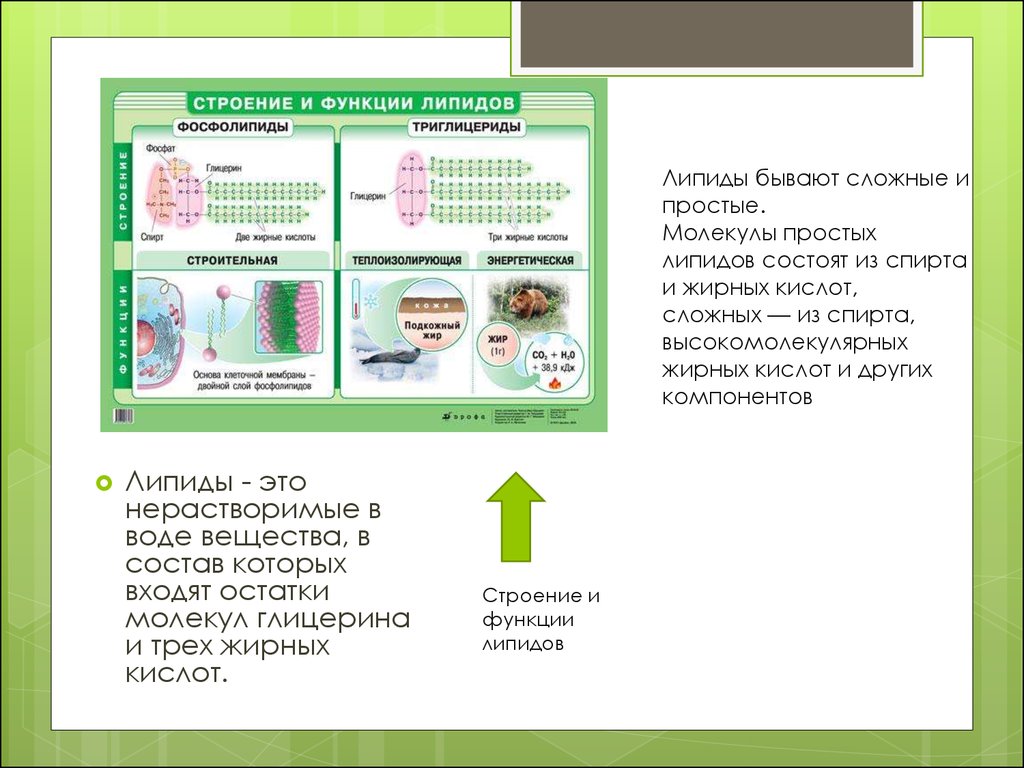 Орган органического вещества