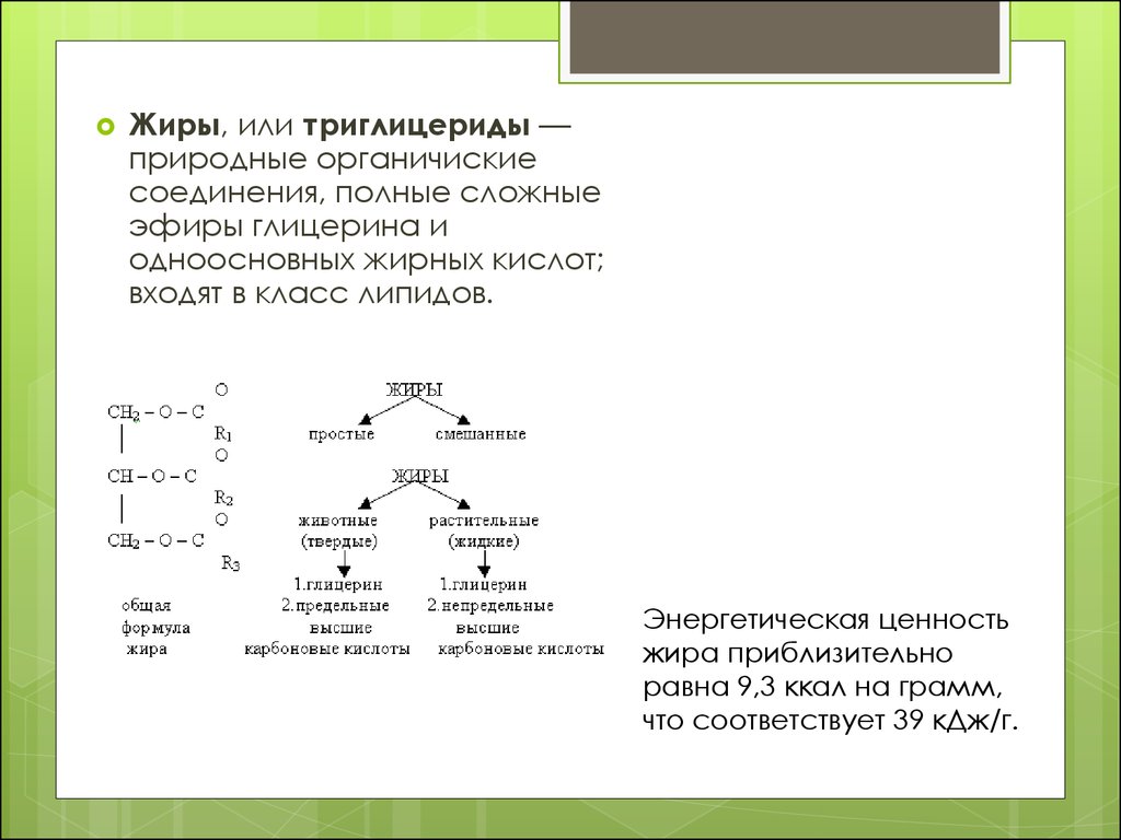 Обмен органических веществ