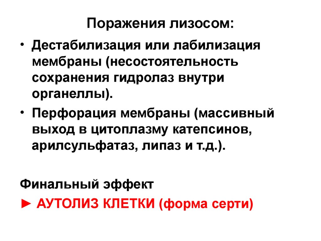 Что такое дестабилизация. Повреждение лизосом патофизиология. Активация лизосомальных гидролаз повреждение клетки. Роль гидролаз лизосом в повреждении клетки. Перфорация мембраны клетки.