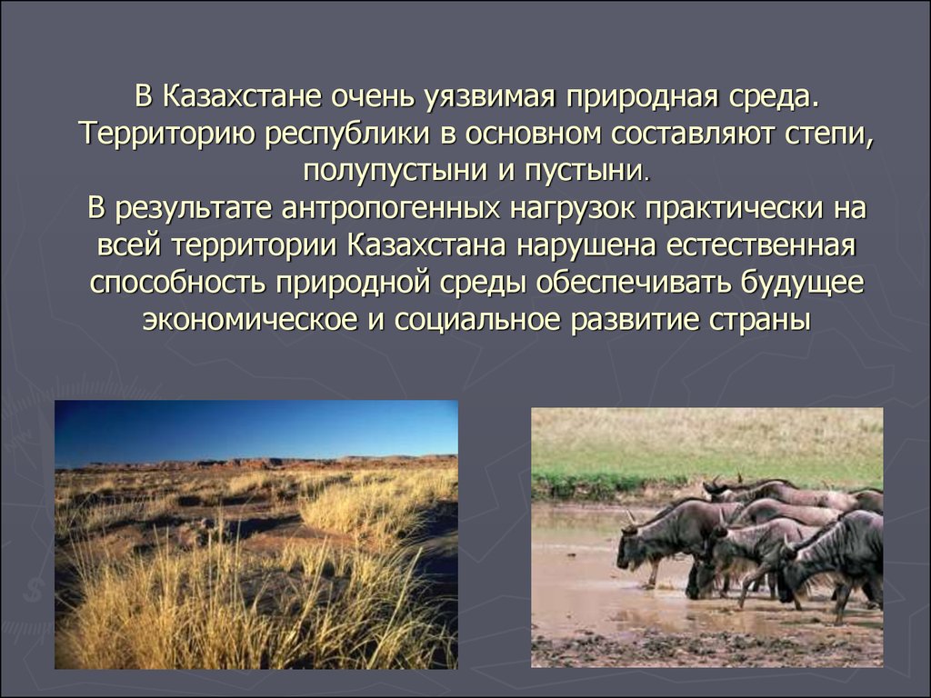 В Казахстане очень уязвимая природная среда. Территорию республики в основном составляют степи, полупустыни и пустыни. В результате антро
