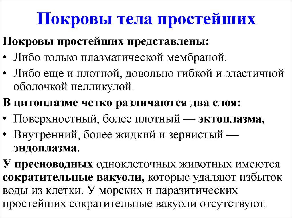 Покров тела ежа. Покровы тела простейших. Тип простейшие строение покровов тела. Особенности покровов простейших.