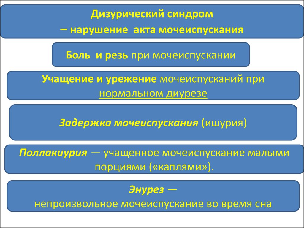 Может ли участиться мочеиспускание. Дизурический синдром. Нарушение мочеиспускания. Дизморфияческий синдром. Синдромы нарушения мочеиспускания.