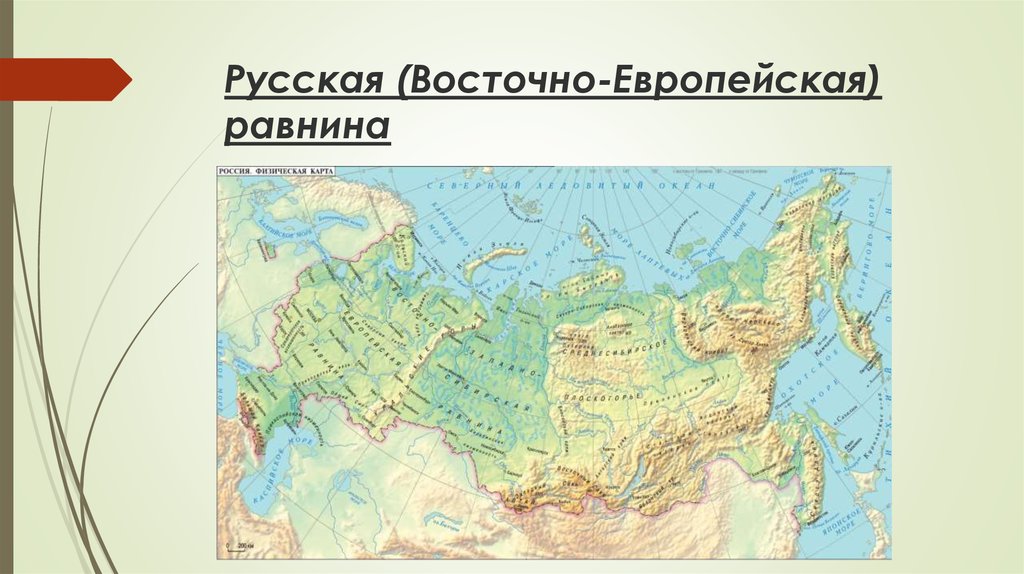 География великие равнины россии
