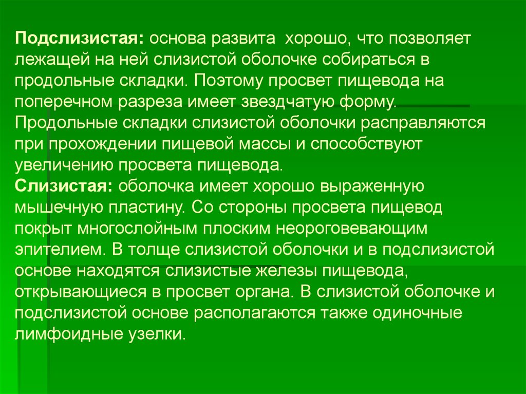 Состоят из основы которой. Подслизистая основа. Подслизистая основа отсутствует в. Какие органы имеют подслизистую.