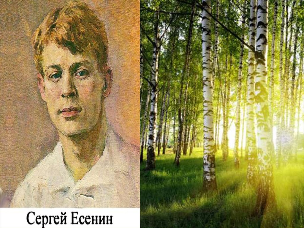 Есенин картина. Есенин певец родной природы. Сергей Есенин певец русской природы. Репин портрет Есенина. Сергей Есенин портрет для детей.