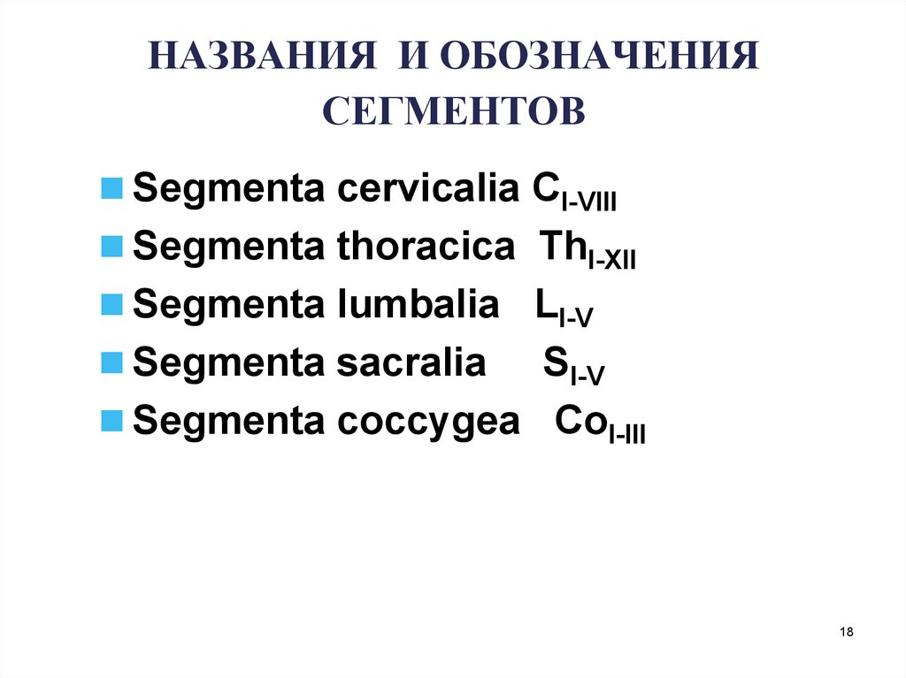 Обозначение сегментов