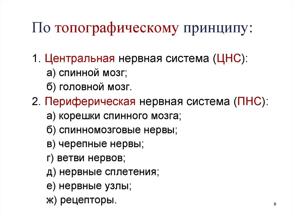 Центральный принцип. Топографический принцип. ПНС по топографии. Отделы ПНС по топографическому. Центральный топографический принцип.