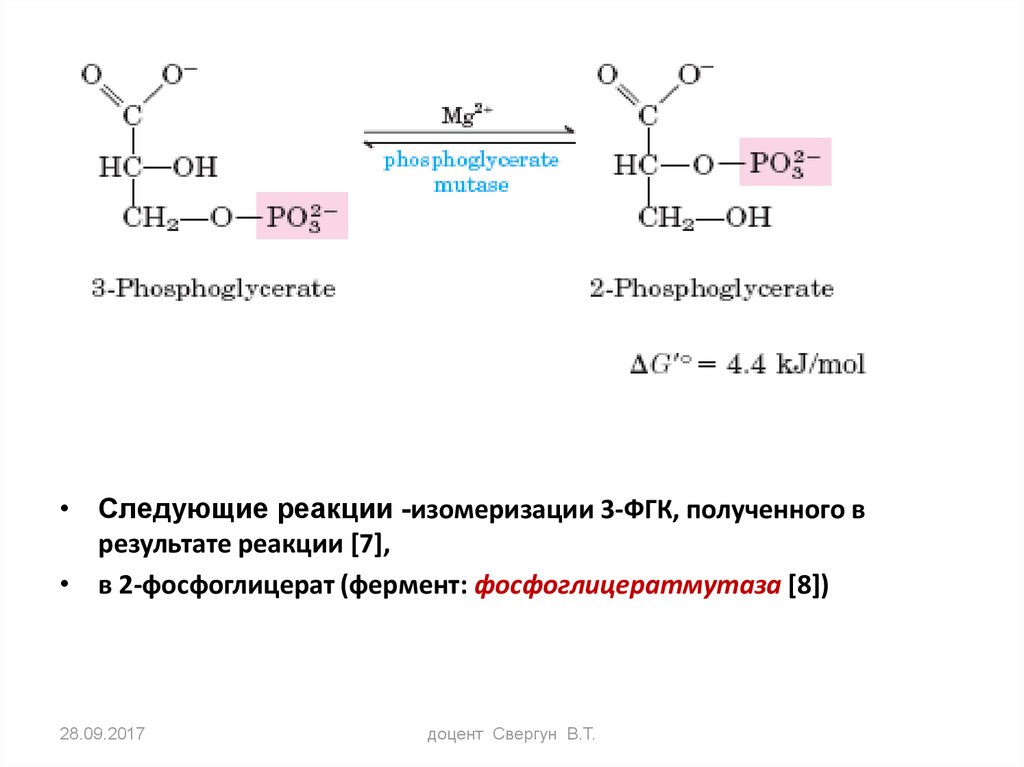 Следующая реакция. Реакция изомеризации 3-фосфоглицерата в 2-фосфоглицерат. Фосфоглицератмутаза катализируемая реакция. Реакция 2-фосфатглиуерат. Фермент фосфоглицерат Мутаза.