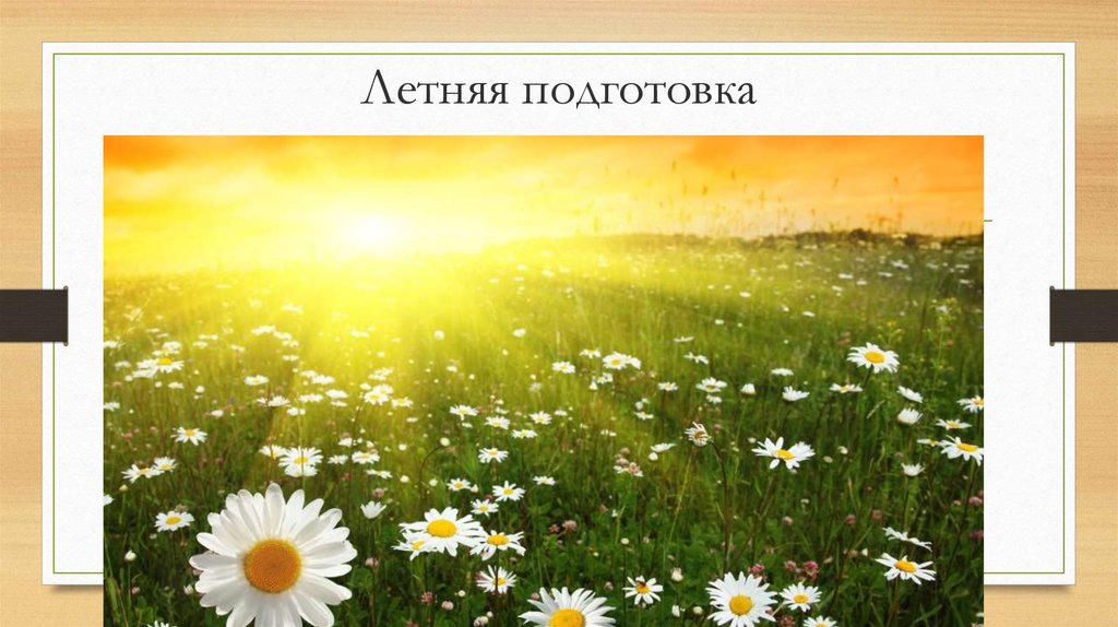 Летняя подготовка