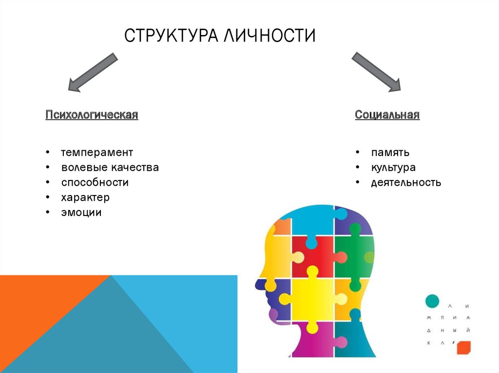 Темперамент характер способности. Темперамент в структуре личности. Темперамент и характер в структуре личности. Темперамент в структуре индивидуальности. Темперамент в структуре личности в психологии.