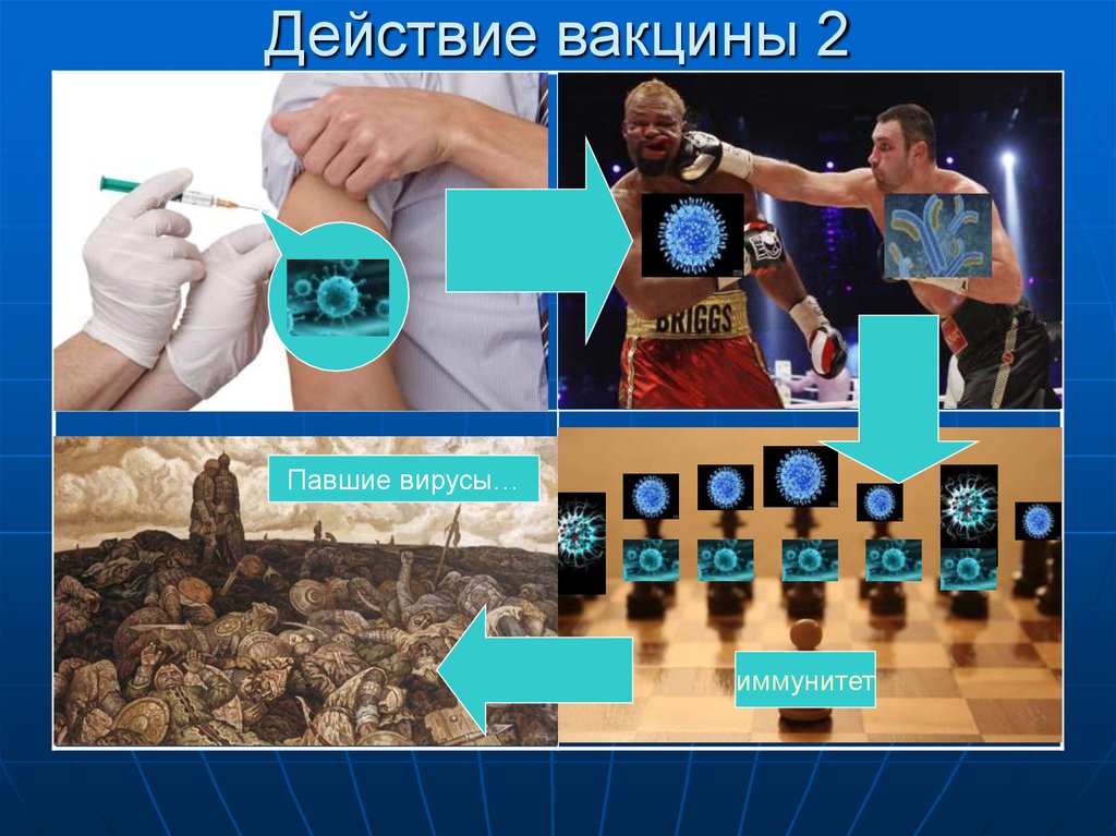 Действие вакцины 2