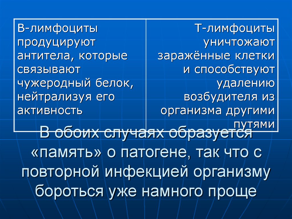 В обоих случаях образуется «память» о патогене, так что с повторной инфекцией организму бороться уже намного проще