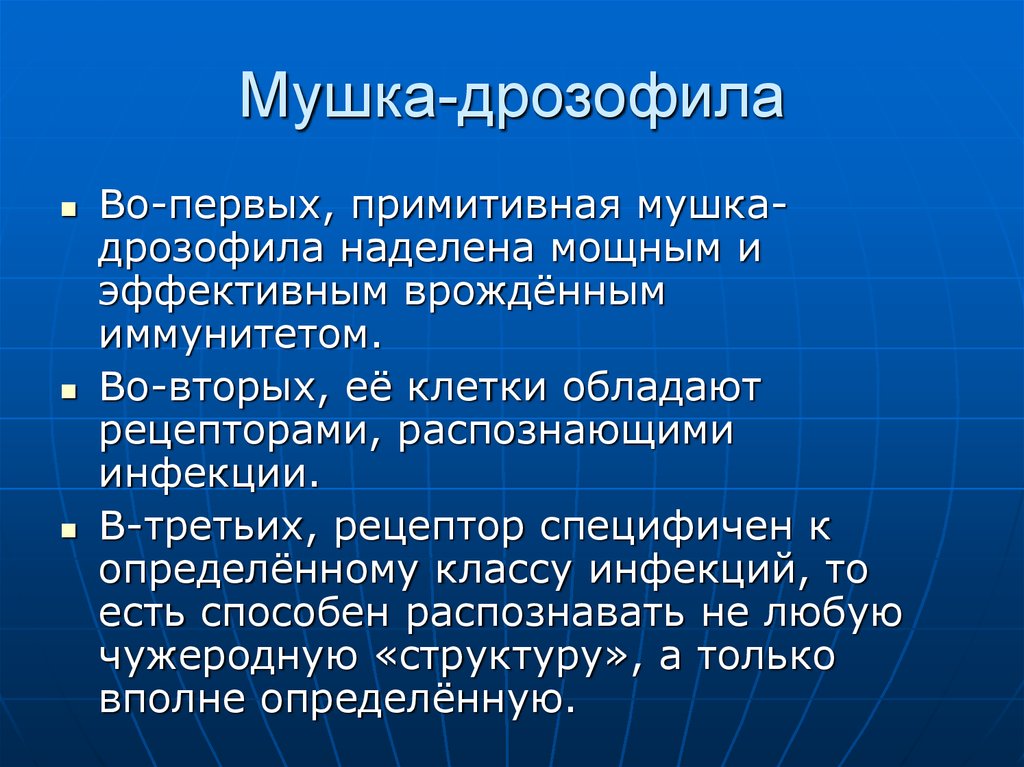 Мушка-дрозофила