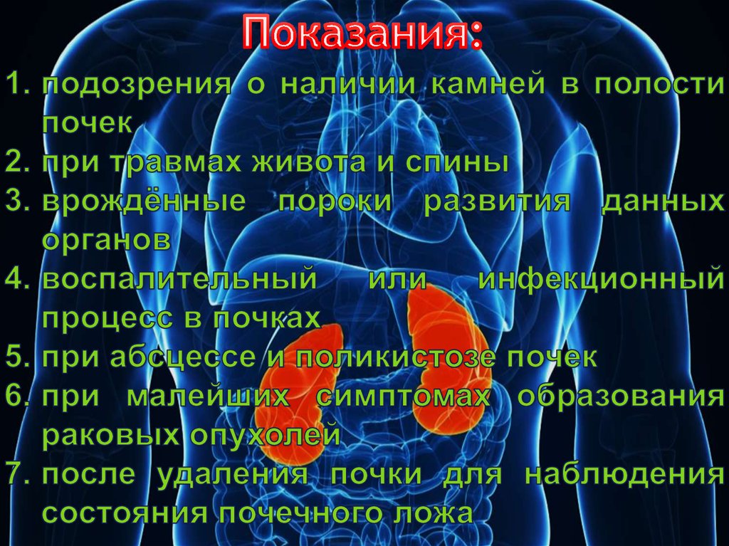 Биопсия почки презентация