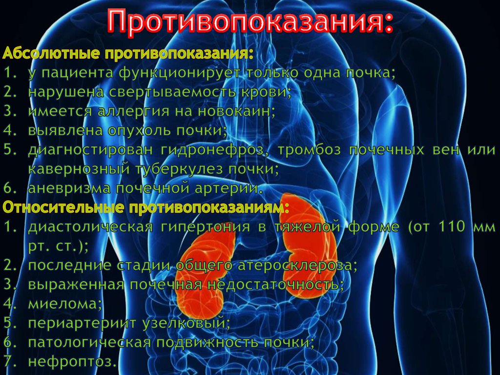 Почка отзывы. Трансяремная биопсия почки. Как функционирует одна почка.