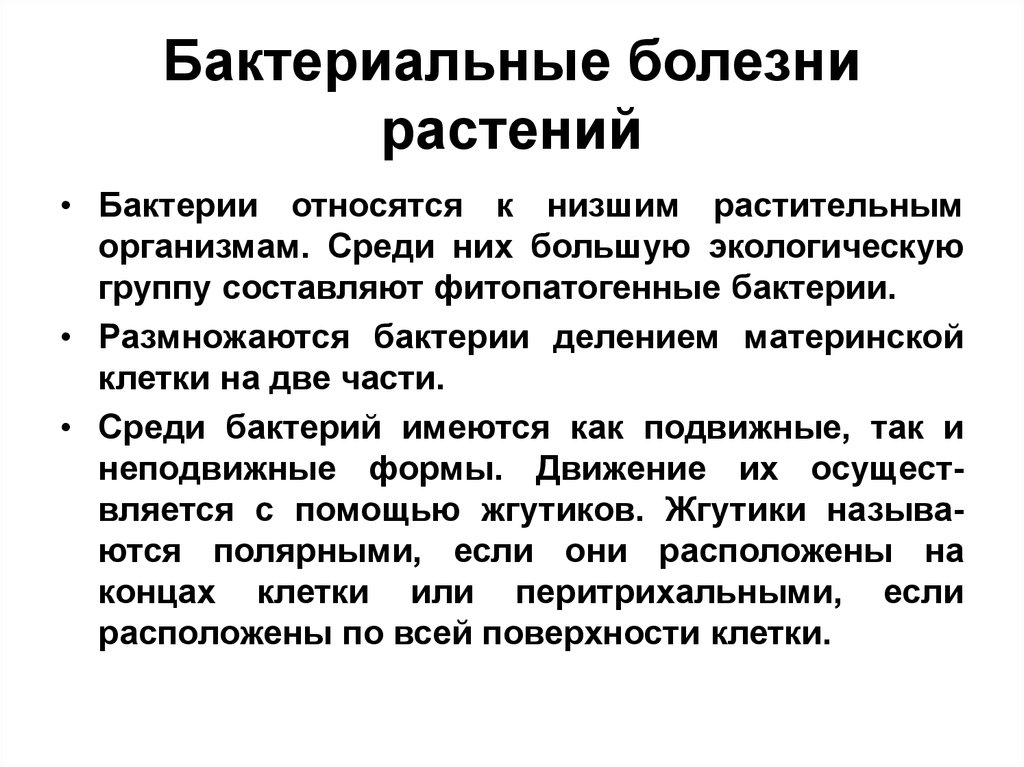 Бактериальные болезни. Бактерии возбудители болезней растений. Сообщение на тему бактериальные болезни растений. Бактериальные болезни растений примеры. Микробные болезни растений.