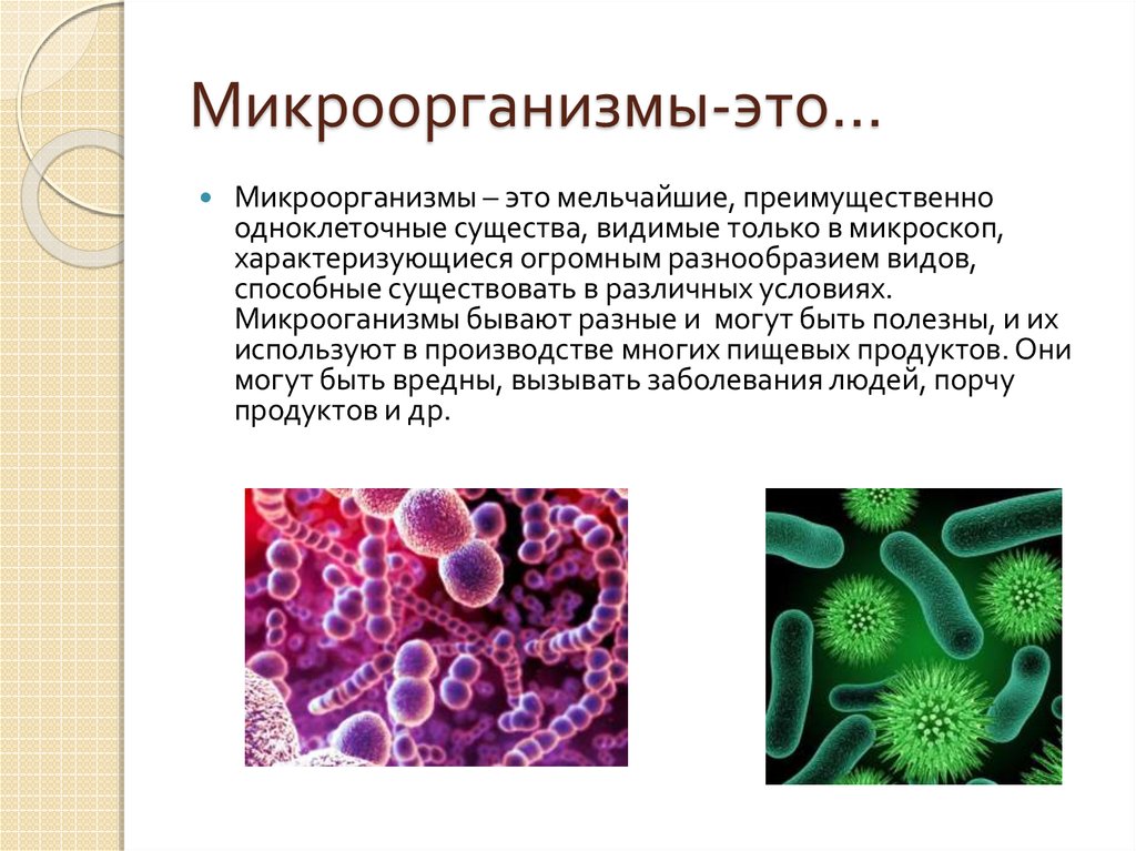 Какое свойство бактерий позволяет использовать их в. Микроорганизмы это. Презентация на тему микробы. Разные бактерии. Понятие о микроорганизмах.