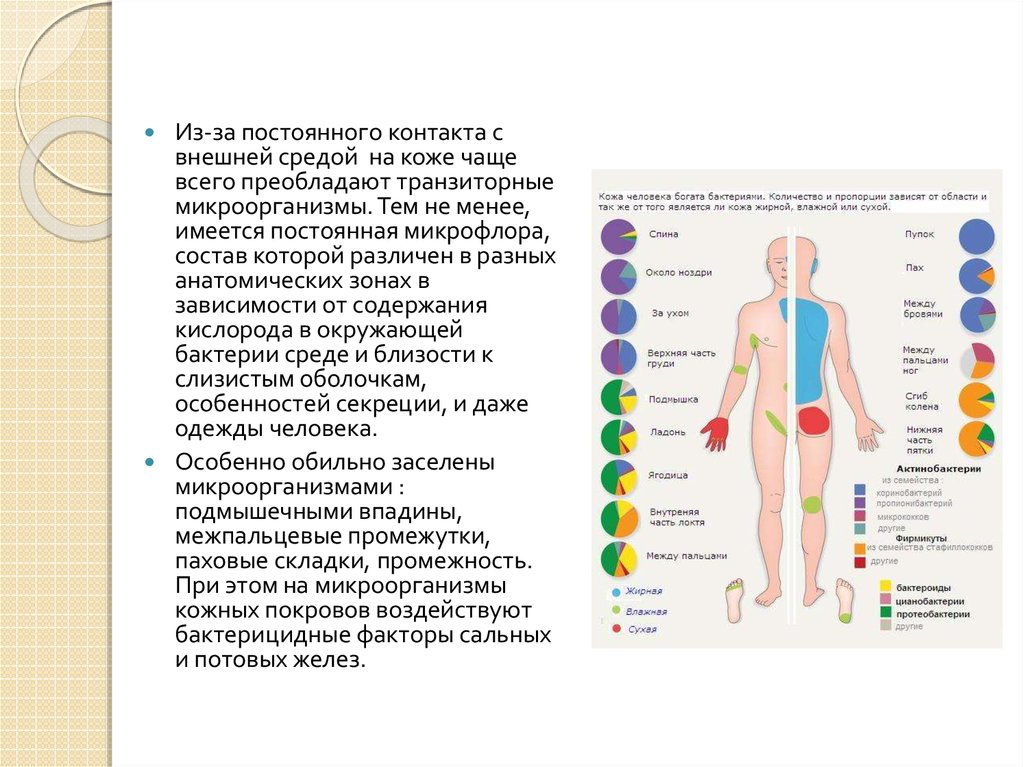 Схема заболевания человека