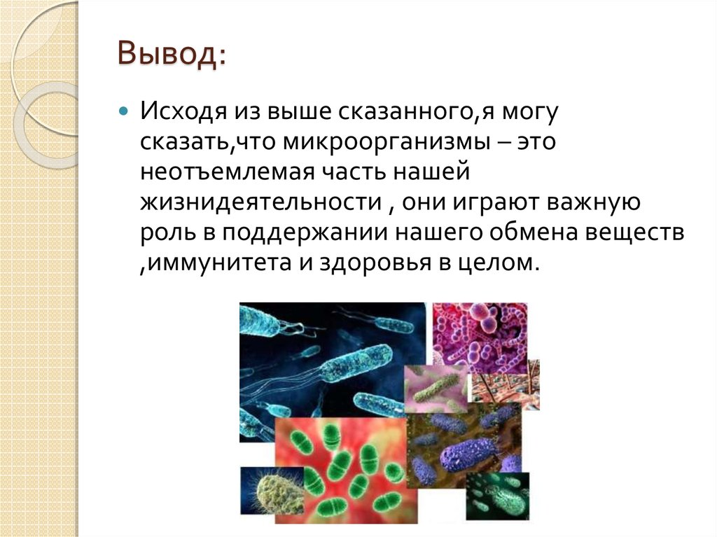 Значение бактерий в кишечнике человека. Вывод о бактериях. Роль микроорганизмов вывод. Роль бактерий в окружающей среде. Вывод про микробы.