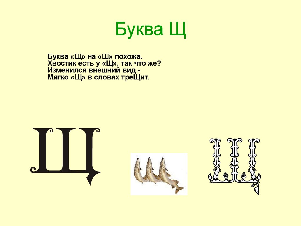 Картинки слова на букву щ