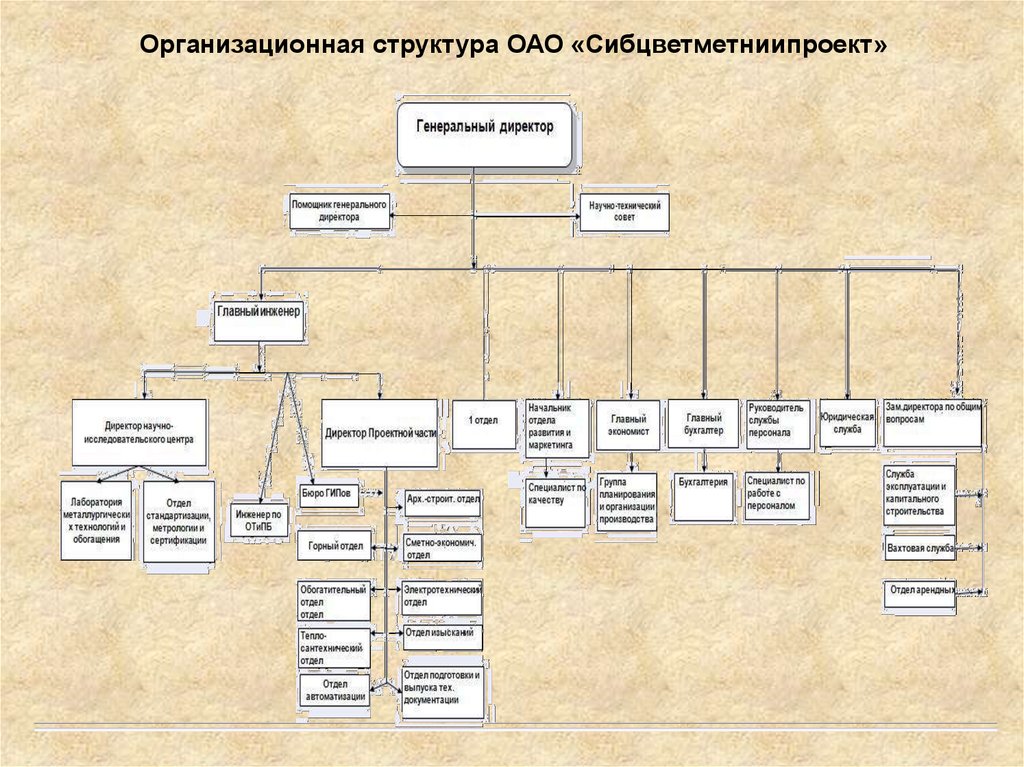 Специализация организационной структуры