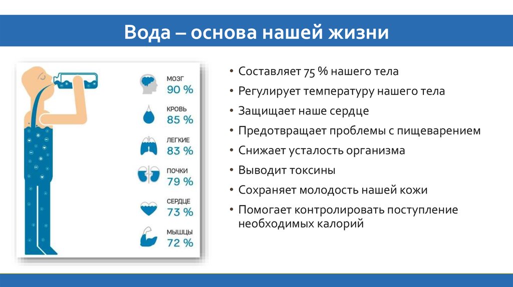 Картинки вода основа жизни