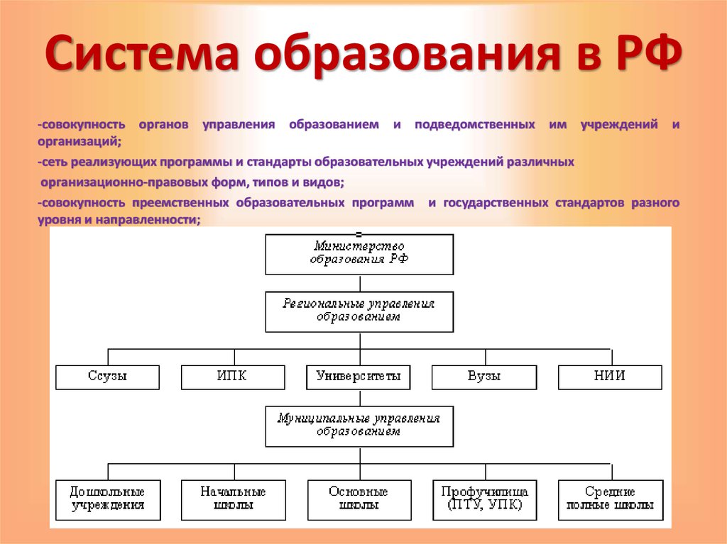 Система образования в РФ
