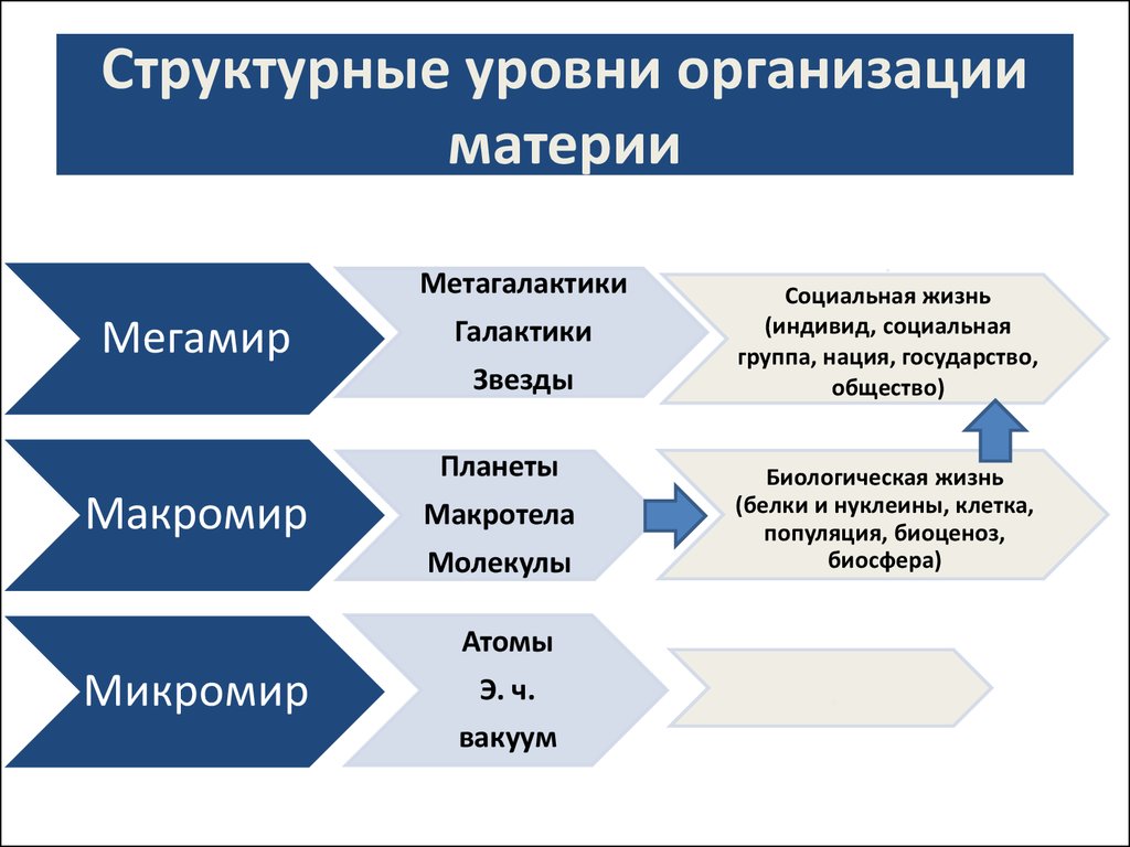 Организации материи. Системные уровни организации материи. Структурные уровни и системная организация материи. Структурные уровни организации материи. Основные структурные уровни материи.