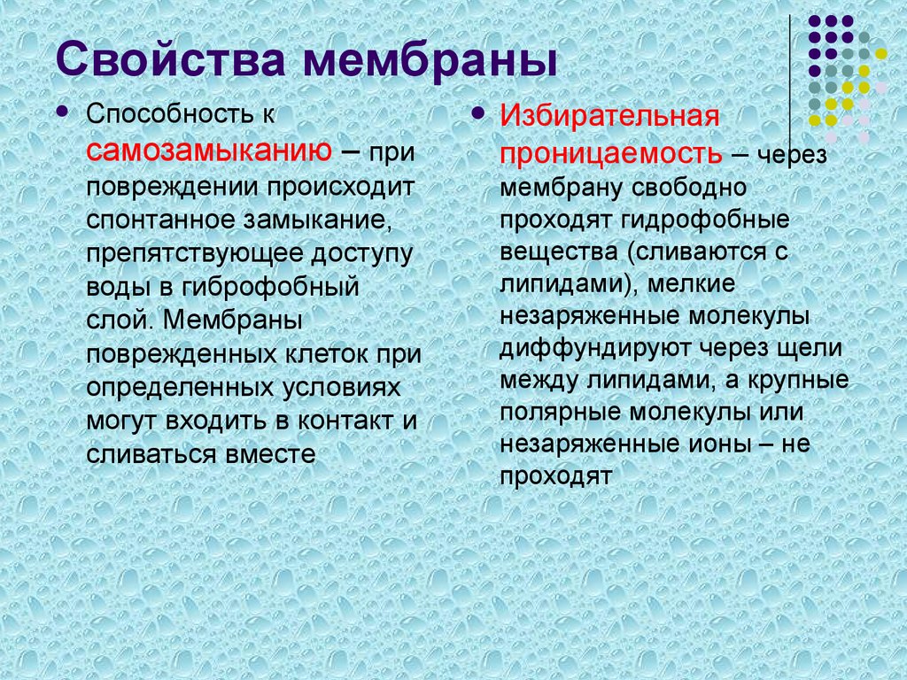 Мембранам относится. Свойства биологических мембран. Свойства мембраны. Способности мембраны. Основные свойства клеточной мембраны.