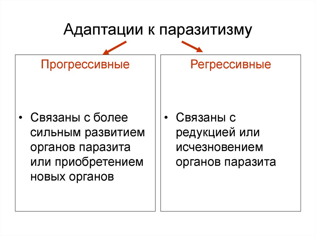 Особенности паразитического образа жизни. Адаптация паразитов к паразитическому о. Адаптации к паразитизму. Морфологические и биологические адаптации паразитов.. Морфологические прогрессивные адаптации паразитов.