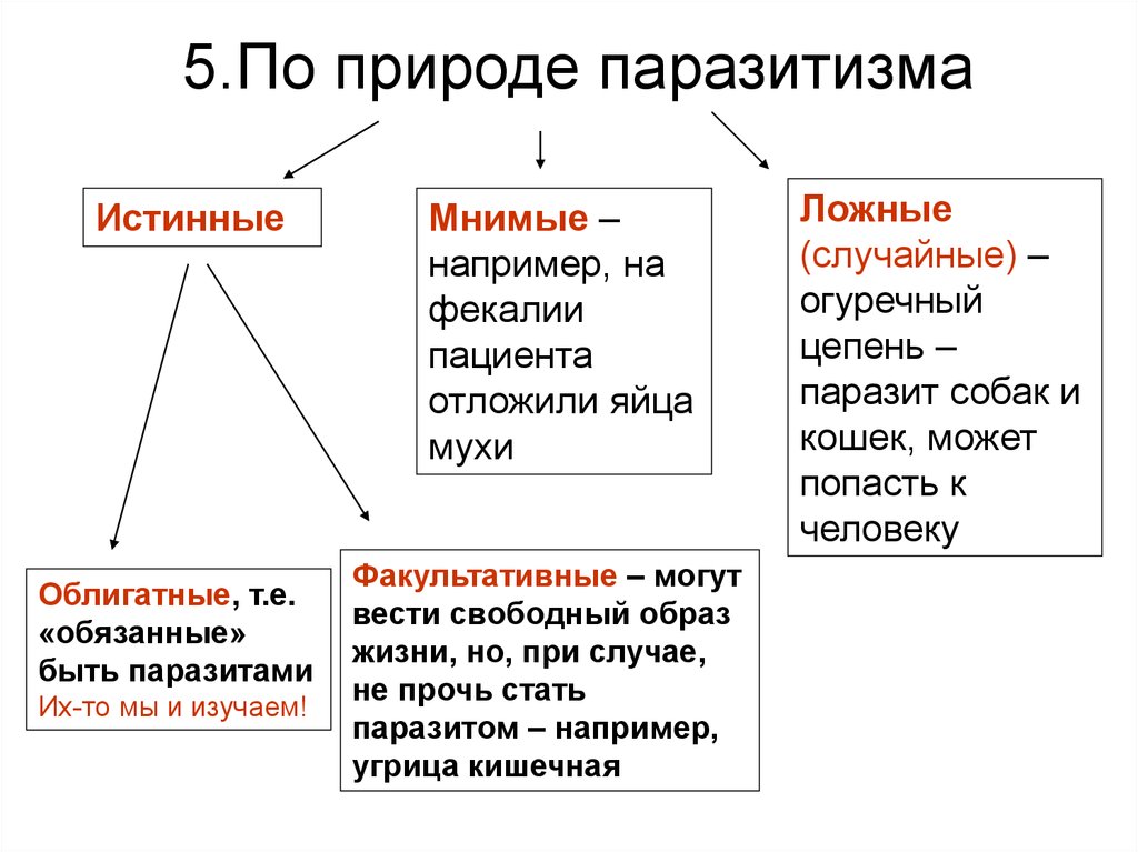 Облигатные паразиты. Истинные паразиты пример. Ложные паразиты примеры. Виды паразитизма. Облигатный и факультативный паразитизм.