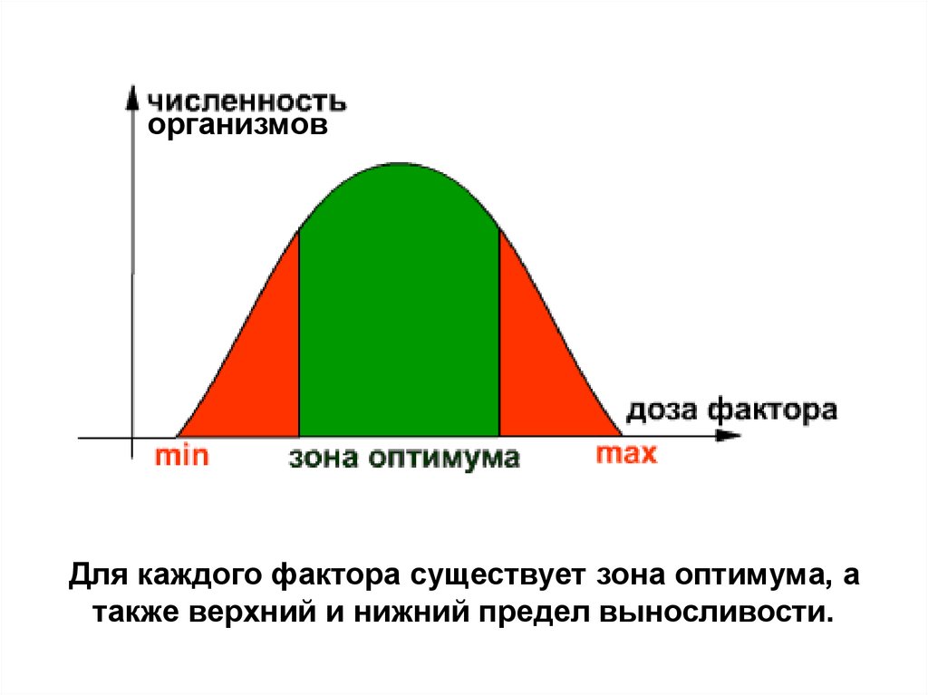 Численность организма. Зона оптимума. Зона оптимума экологического фактора. Пределы выносливости организма. Верхний и Нижний предел выносливости.