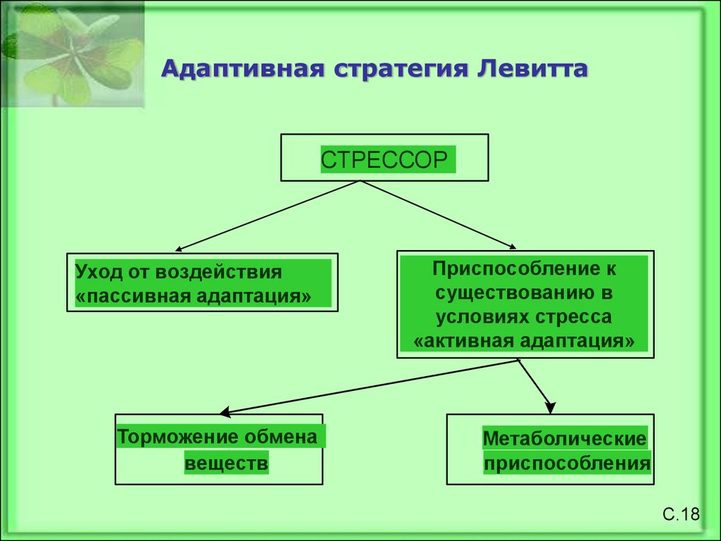 Обмен веществ адаптация