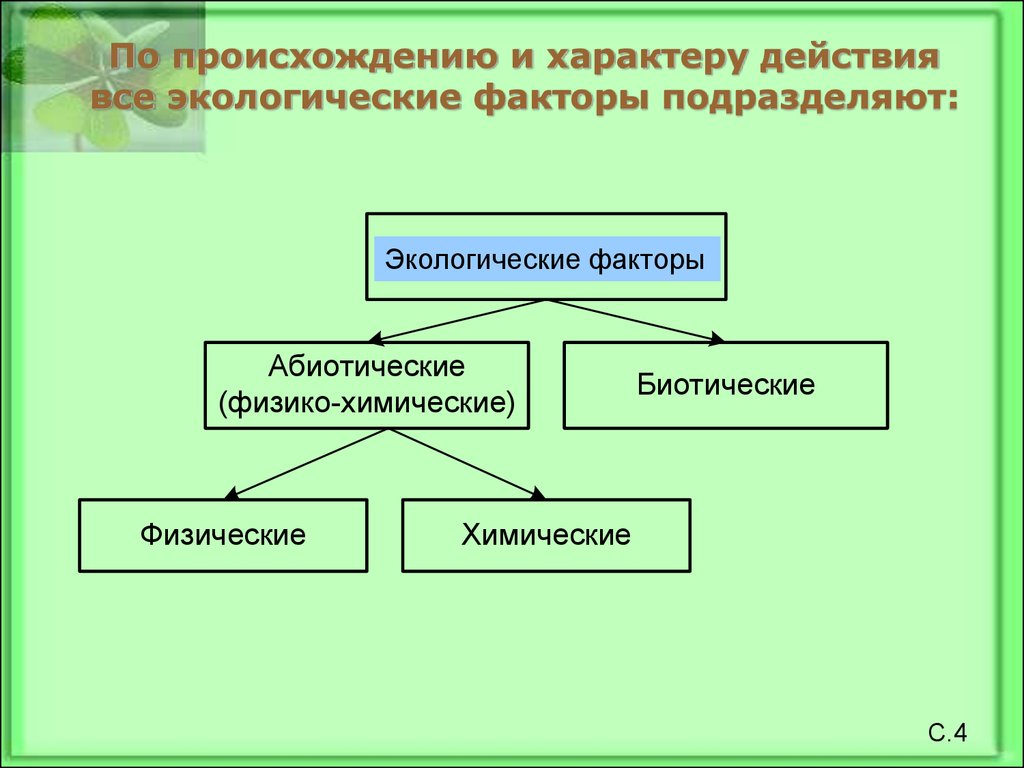 Какому характеру действия