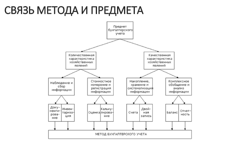 Объекты бухгалтерского