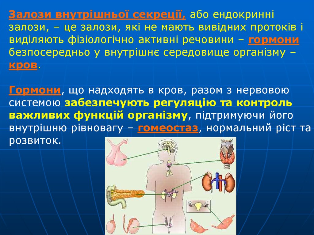 Реферат: Залози внутрішньої секреції гормони та їх роль у регуляції людини