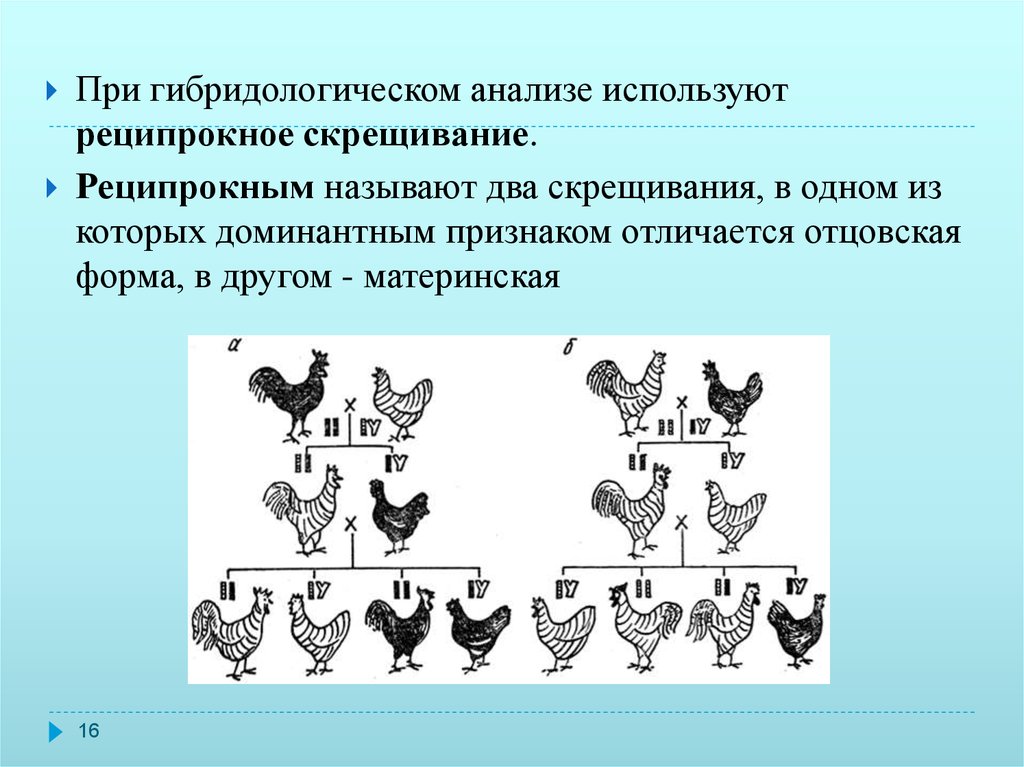 Реципрокное скрещивание схема