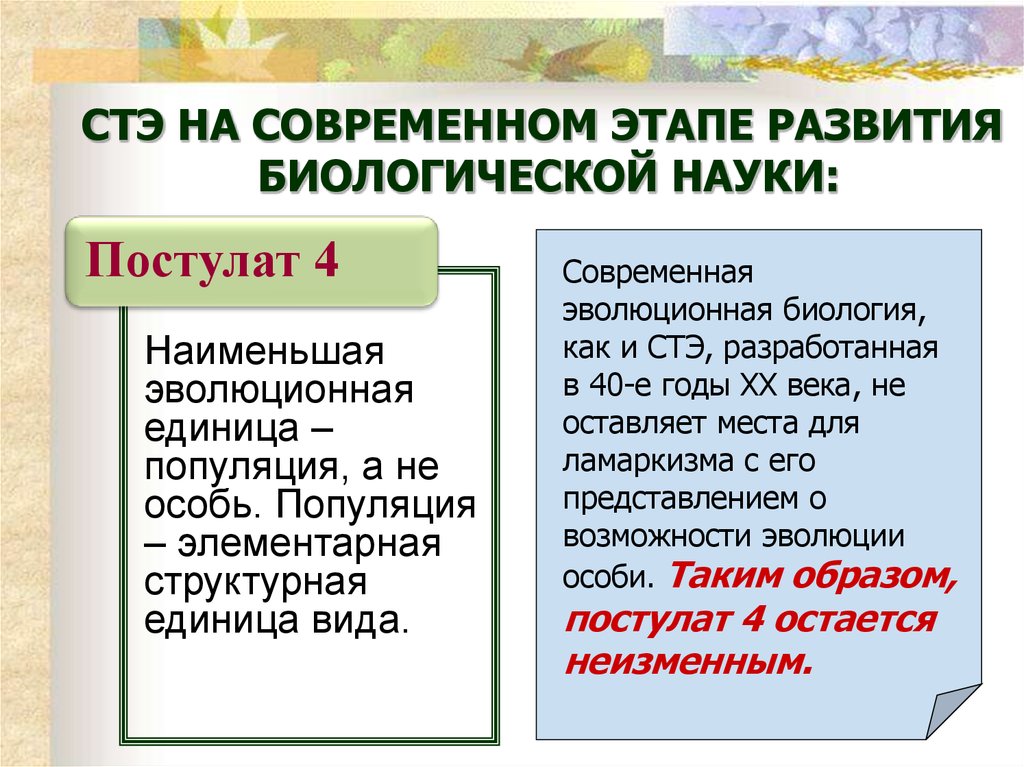 Стэ презентация 11 класс