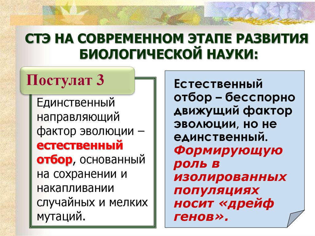 Направляющий фактор эволюции. Направляющий фактор естественного отбора. Естественный отбор направляющий фактор эволюции. Факторы эволюции естественный отбор. Естественный отбор – основной направляющий фактор эволюции.